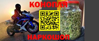 дживик Ачхой-Мартан