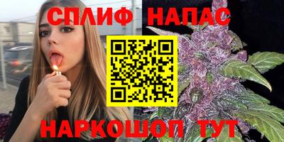 дживик Ачхой-Мартан