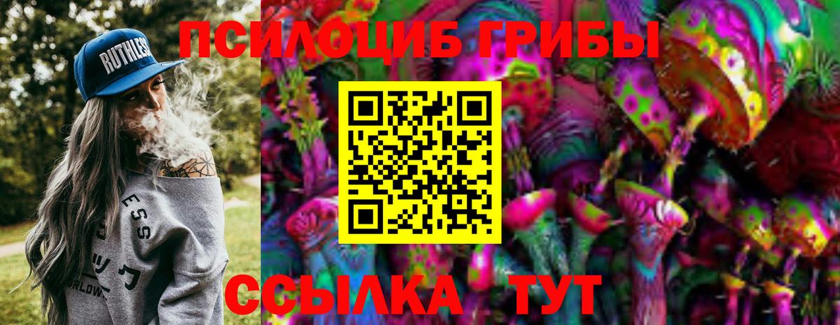 Псилоцибиновые грибы GOLDEN TEACHER  Галлюциногенные грибы Psilocybe  Вход с VPN  Александров 