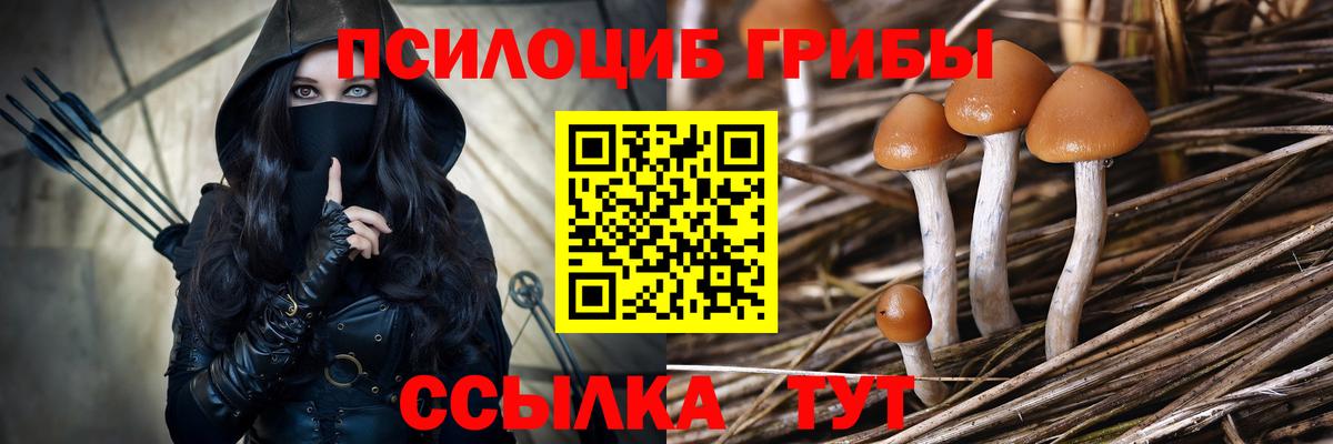 Галлюциногенные грибы Psilocybine cubensis Александров